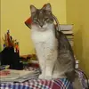 Отзыв от Мария Пименова